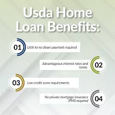 usda loans 100 financing for