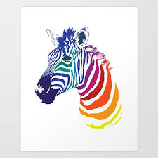 Rainbow Zebra Colorful Animals