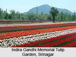 Indira Gandhi Memorial Tulip Garden, Srinagar, Jammu and Kashmir