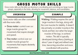 50 gross motor skills exles 2024