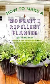Mosquito Repellent Patio Planter