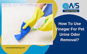 use vinegar for pet urine odor removal