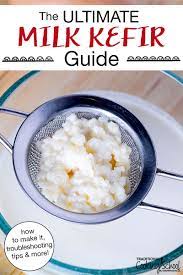 ultimate milk kefir guide how to make