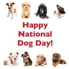 Official ndd twitter, celebrating worldwide on 8/26 & saving them all year. National Dog Day