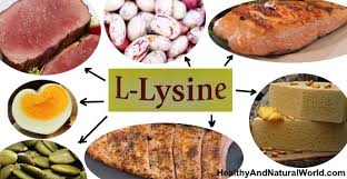 High lysine foods include seal and whale meat, soy protein isolate, egg (the white part), cod, and parmesan cheese. Proven Health Benefits Of L Lysine Cold Sores Herpes Skin And More