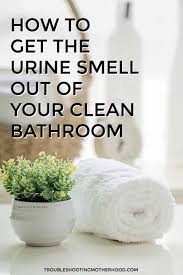 urine smell in your clean bathroom