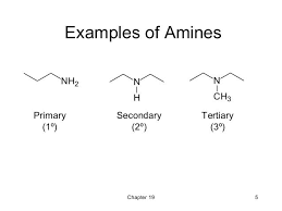 19 amines wade 7th chemistry