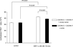 Regulation of CXCR  Receptor Dimerization by the Chemokine SDF         Download figure    