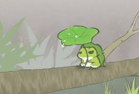 (please give us the link of the same wallpaper on this site so we can delete the repost) mlw app feedback there is no problem. Pin By Chloe Guo On æ—…è¡Œé'è›™ Cute Frogs Frog Art Frog Drawing