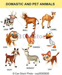 Pet Animal Chart