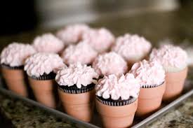 Cupcakes in Flower Pots | Emmaline Bride