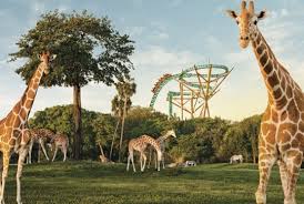 busch gardens ta tickets deals up