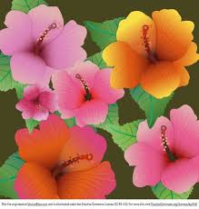 Fichier gratuit vecteur Free Hibiscus Flower Pattern | Télécharger  maintenant!
