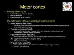 ppt voluntary movement powerpoint