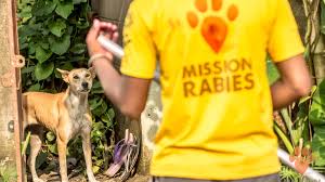 Ruth Bartel Is Fundraising For Mission Rabies