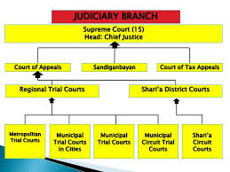 Branches Of Government