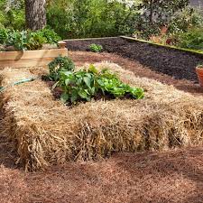 straw bale gardening tips