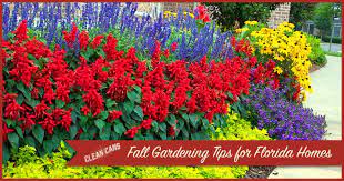 Fall Gardening Tips For Florida Homes