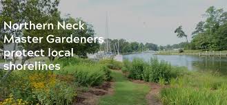 Northern Neck Master Gardeners Provide