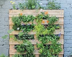 Upcycled Wooden Pallet Give It A Grow