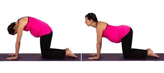 This exercise helps the baby drop away from the lower back. Yoga For Pregnant Women Poses You Must Include In Your Prenatal Yoga Routine Yoga Janda