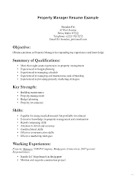 Resume Summary Of Skills Examples Successmaker Co