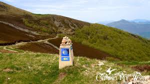 Image result for the camino way