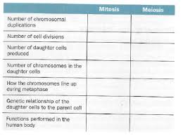 Solved Complete The Following Table To Compare Mitosis And