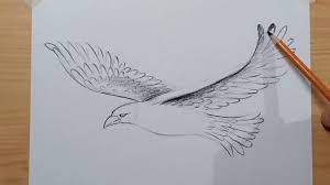 how to draw an eagle step by step you