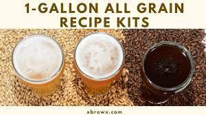 1 gallon all grain recipe kits xbrewx