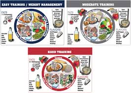 plate nutrition educational tool