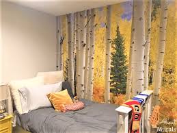 Aspen Tree Wallpaper Room Ideas From