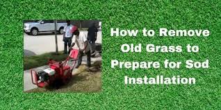 How To Remove Grass Sod Pearland