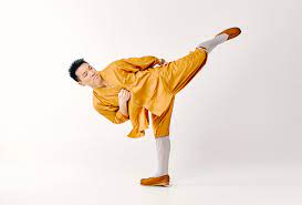 Kungfu life