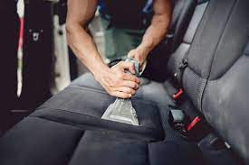 how to clean mold out of a car carpet