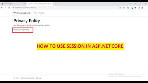 how to use sessions in asp net core