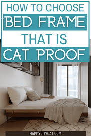 cat proof bed frame how to choose the