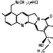 hycamtin topotecan