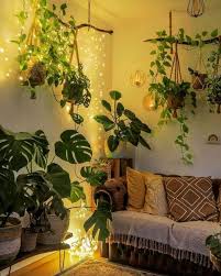 Plant Corner Ideas House Plants Decor