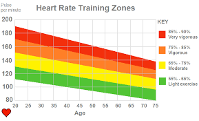Heart Rate Calculator Heart Rate Zones