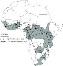 Find images of africa map. Map Of The African Continent Showing The Seventeen Historical Migration Download Scientific Diagram