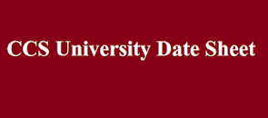 Image result for ccsu date sheet 2023 llb