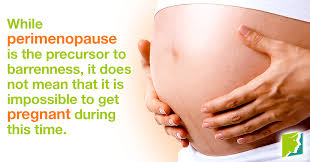 perimenopause and pregnancy menopause now