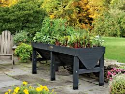 A Spacious Planter That S Just The