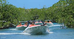 jungle tour adventure sdboat and