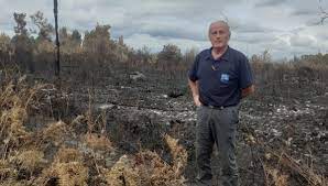 Incendies : la détresse des sylviculteurs en Sud-Gironde