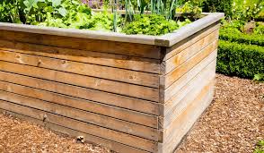 Treated Lumber For Raised Beds