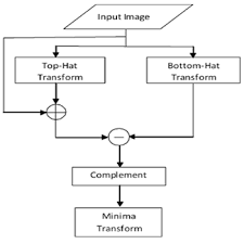 Flow Chart For Preprocessing Download Scientific Diagram