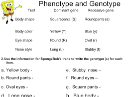Inabinet reviews answers to the spongebob genetics quiz review sheet. Bikini Bottom Genetics Practice 4 02