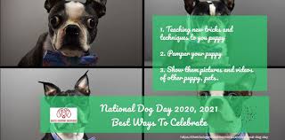 The top 10 puppy names of 2021 are probably familiar, but some new dog names cracked the list too! National Dog Day 2020 2021 Best Ways To Celebrate The Black German Shepherd